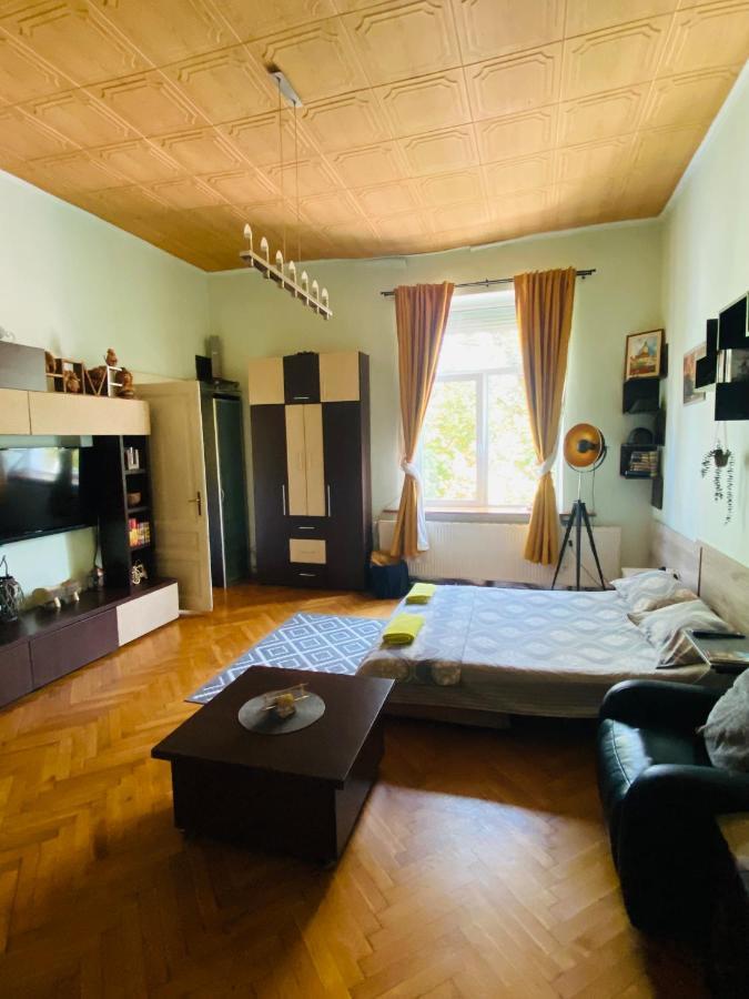 Central 2 Bedrooms Apartment Брашов Экстерьер фото